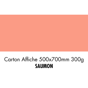 CARTON 500X700 300G SAUMON    P/10F