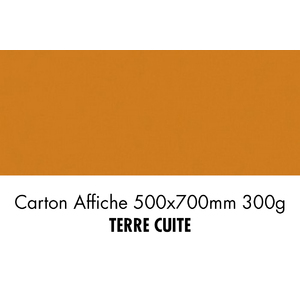 CARTON 500X700 300G TERRE CUITE  P/10F