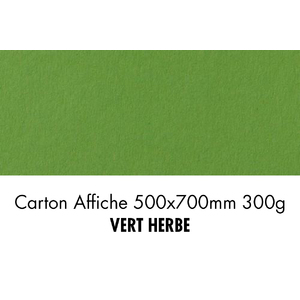 CARTON 500X700 300G VERT HERBEP/10F