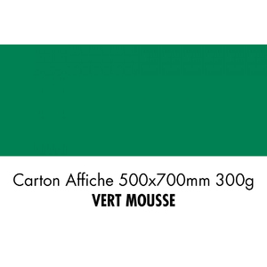 CARTON 500X700 300G VERT MOUSSE  P/10F