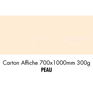 CARTON 700X1000 300G PEAU     P/10F