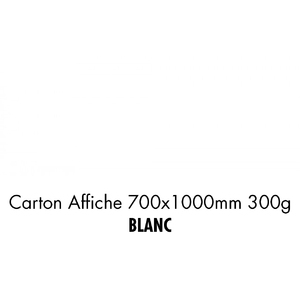 CARTON 700X1000 300G BLANC    P/10F