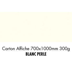 CARTON 700X1000 300G BLANC PERLE P/10F