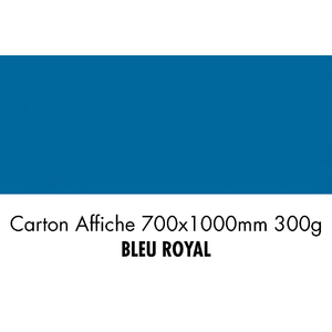 CARTON 700X1000 300G BLEU ROY P/10F