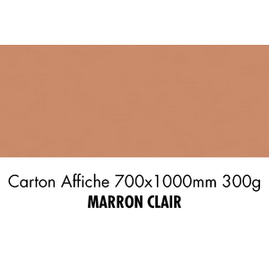 CARTON 700X1000 300G MARRON CLAIR P/10F