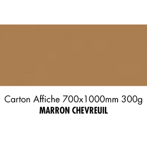 CARTON 700X1000 300G MARRON CHEVREUIL P/10F