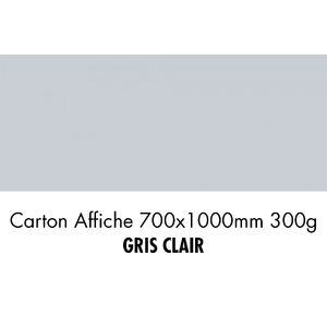 CARTON 700X1000 300G GRIS CLAIR  P/10F