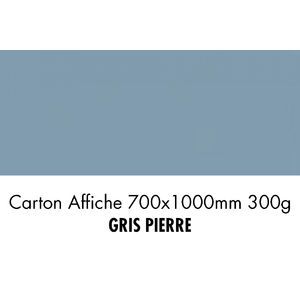 CARTON 700X1000 300G GRIS PIERRE  P/10F