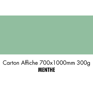 CARTON 700X1000 300G MENTHE   P/10F