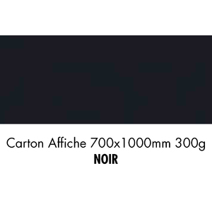 CARTON 700X1000 300G NOIR     P/10F