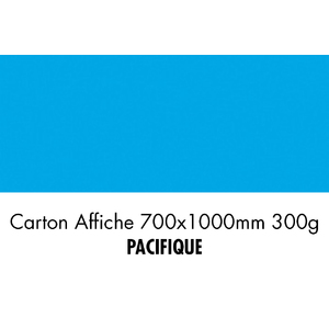 folia Carton de bricolage, (L)1.000 x (H)700 mm, pacifique