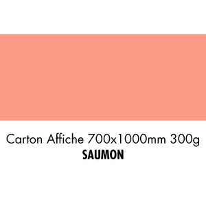 folia Carton de bricolage, (L)1.000 x (H)700 mm, saumon