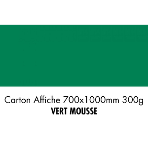 folia Carton de bricolage, (L)1.000 x (H)700 mm, vert mousse