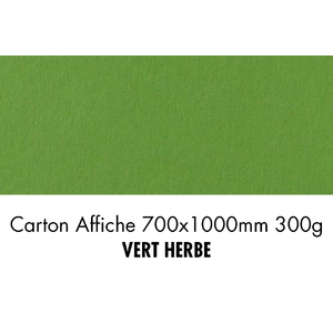 folia Carton de bricolage, (L)1.000 x (H)700 mm, vert tendre